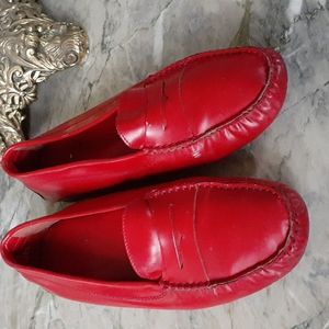 Tods shoes